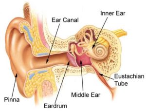 Los Angeles Eustachian Tube Dysfunction Treatment