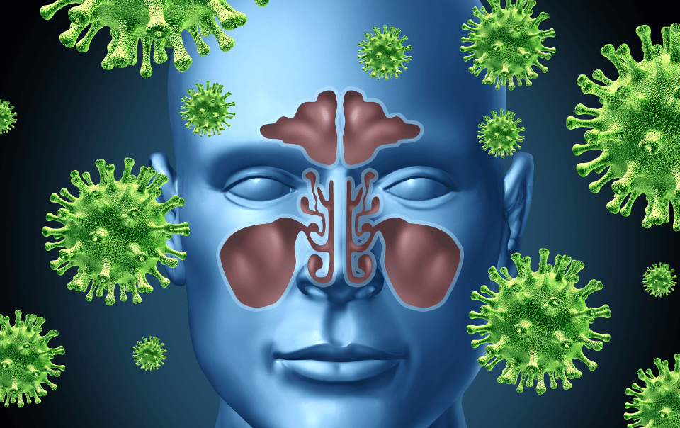 Finding Relief from Recurring Sinus Infections: Tips from a Trusted Sinus Doctor