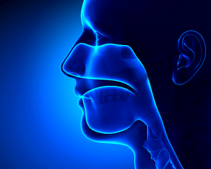 Sinus Surgery