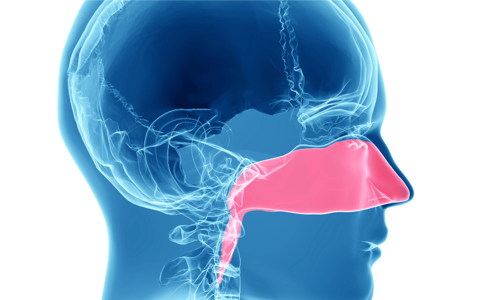 Deviated Septum Surgery and Seasonal Allergies