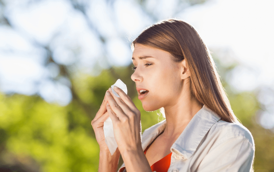 How Allergies Trigger Sinus Problems and How to Stop the Cycle
